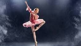 Dance Festival — a photo of the event